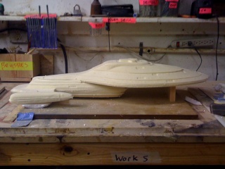 32" Starship model Img_0111