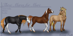 ACEPTS ALL MARES - Page 2 Three_10