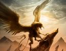 Images Fantasy! Griffo11