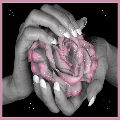 Rosas - Página 3 Roses910