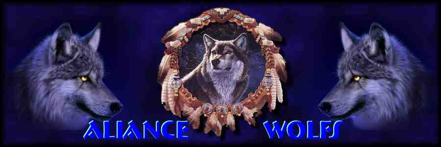 Přihlášení Wolfs_10