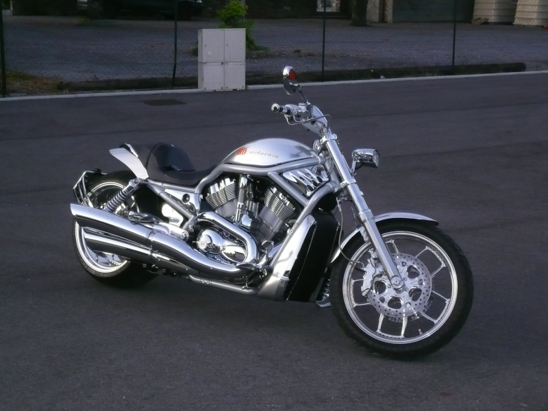 guidon drag bar et phare v-rod