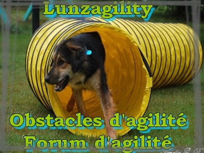 Lunzagility