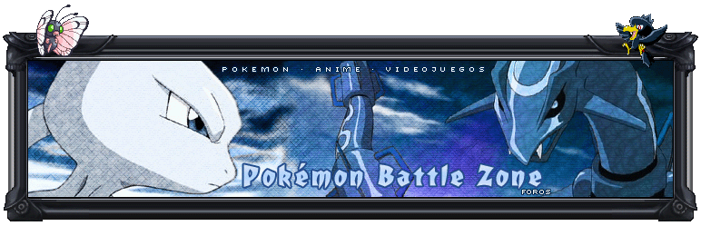 POKEMON BATTLE