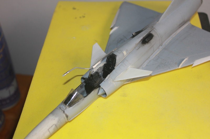1/48 CHEETAH D Heller + scratch FINI - Page 2 Img_0814