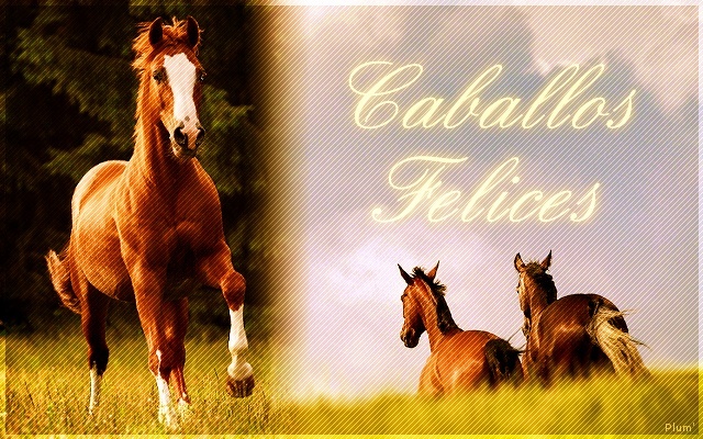 .::Caballos Felices - RPG équin, tout neuf ;) Chevau11