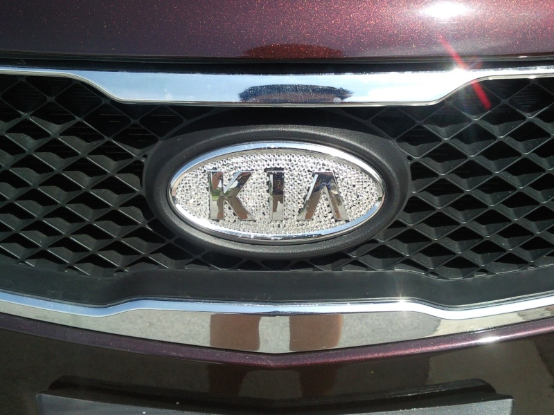 Sparkle the Kia OEM logo ! Snc00026