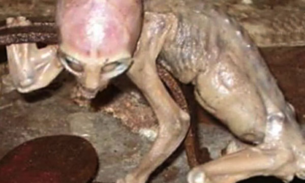Se supo la verdad del caso del "bebé extraterrestre" Extrat10