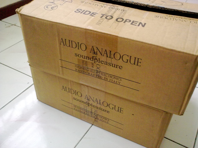 Audio Analog Donizetti monoblock power amp (SOLD) 14102011