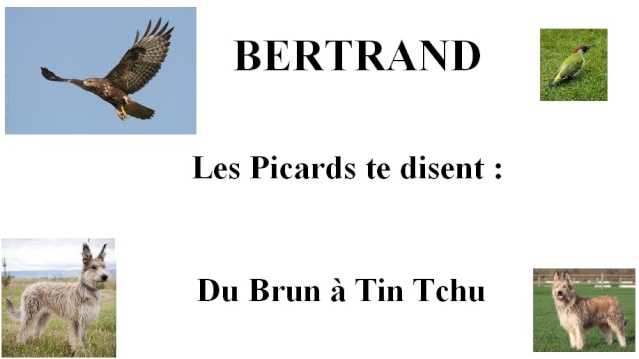 Nom de région ça va déjà plus !!! - Page 2 Picard10