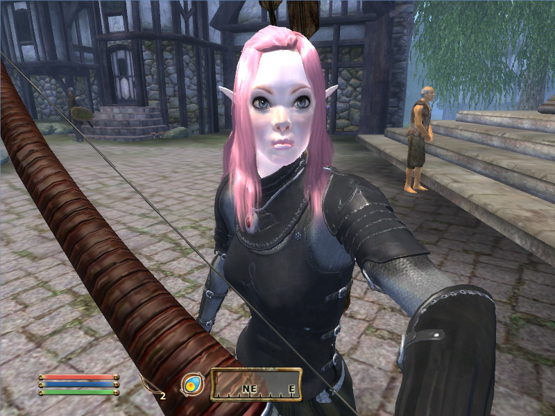 My Oblivion Character Obv110
