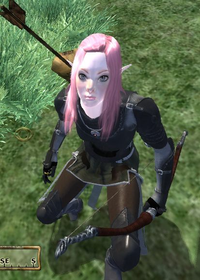 My Oblivion Character Obv310