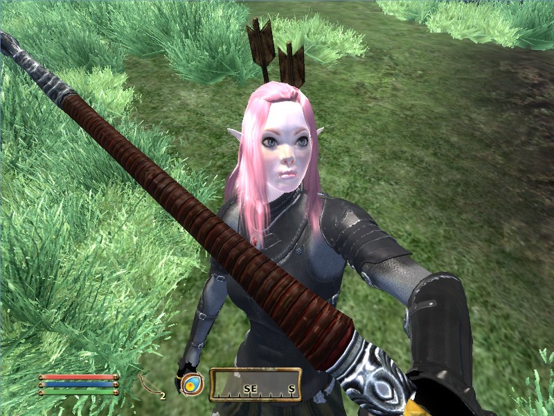 My Oblivion Character Obv510