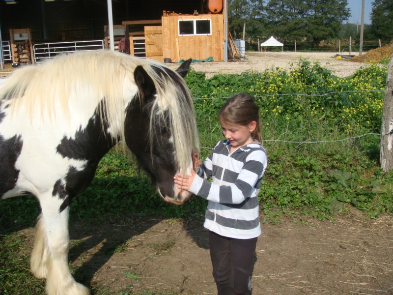 WILLOW, petite jument de 3 ans Dsc01010
