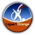 Effectif Ligue 1 orange