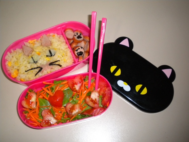 OdorediFragoleRosse alle prese con i suoi Bento! (New@pg.2) Dscn6412