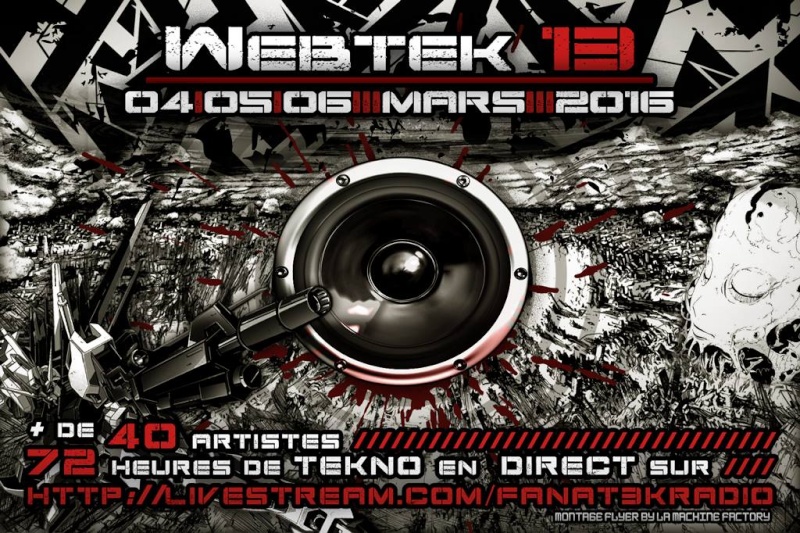 WebTek 13 - FTK 12768310