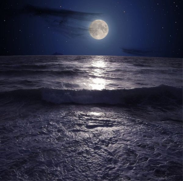 Nuit de pleine lune - Page 2 Lune1010