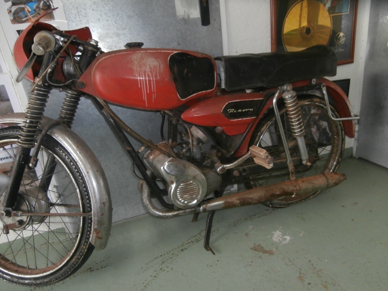 flandria P3050011