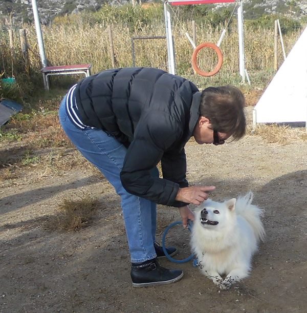 TITOU type spitz blanc 10/2011 joueur, pas de jeunes enfants REFU11 12190010