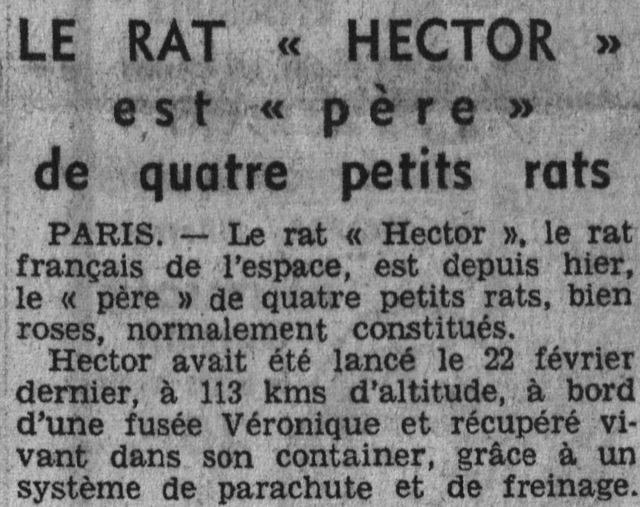 Les animaux spationautes - Page 4 61032210