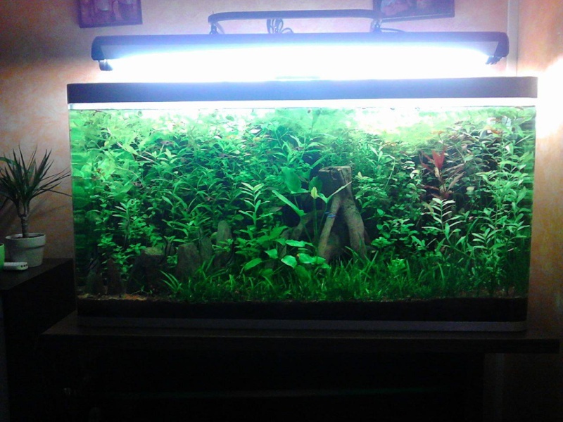 mon Osaka 320 litres - Page 2 12699210
