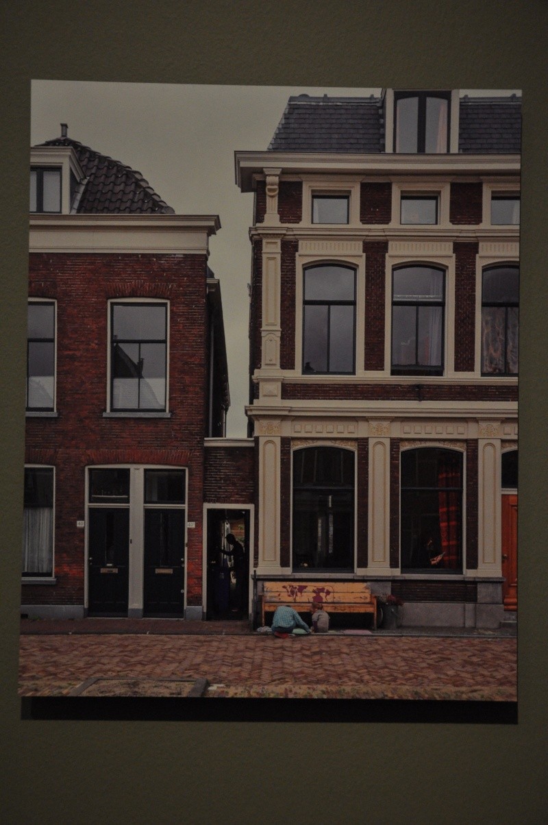 Hollandaise 1 : "La petite rue" de Vermeer Dsc_1010