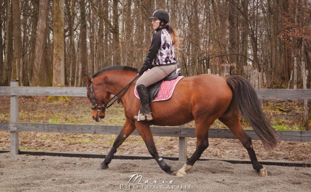 Emilie reprend l'équitation ! xD Img_4712