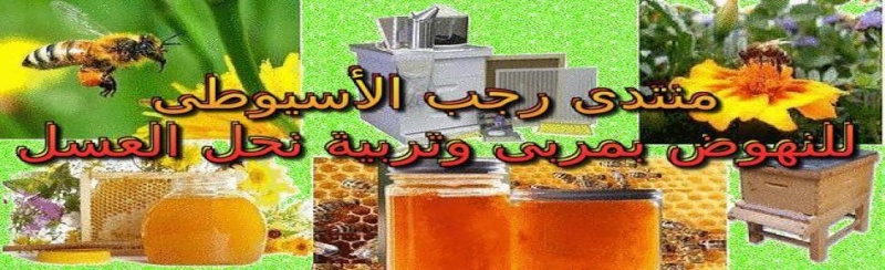  منتدى رجب الأسيوطى للنهوض بمربى وتربية نحل العسل