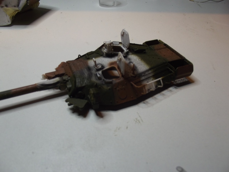 AMX10RCR (TIGRE MODEL)1.35 Dscf0717
