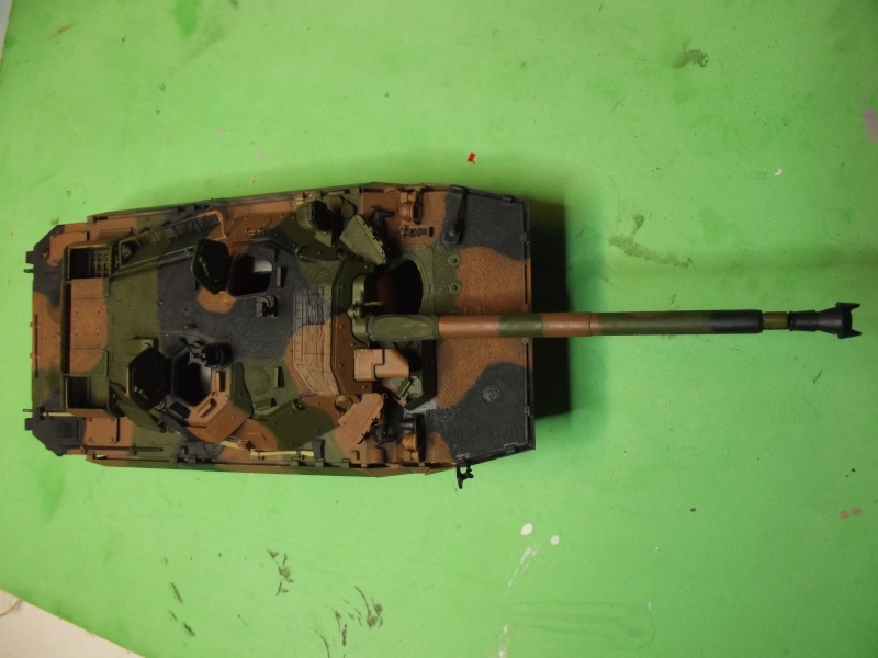 AMX10RCR (TIGRE MODEL)1.35 Dscf0721