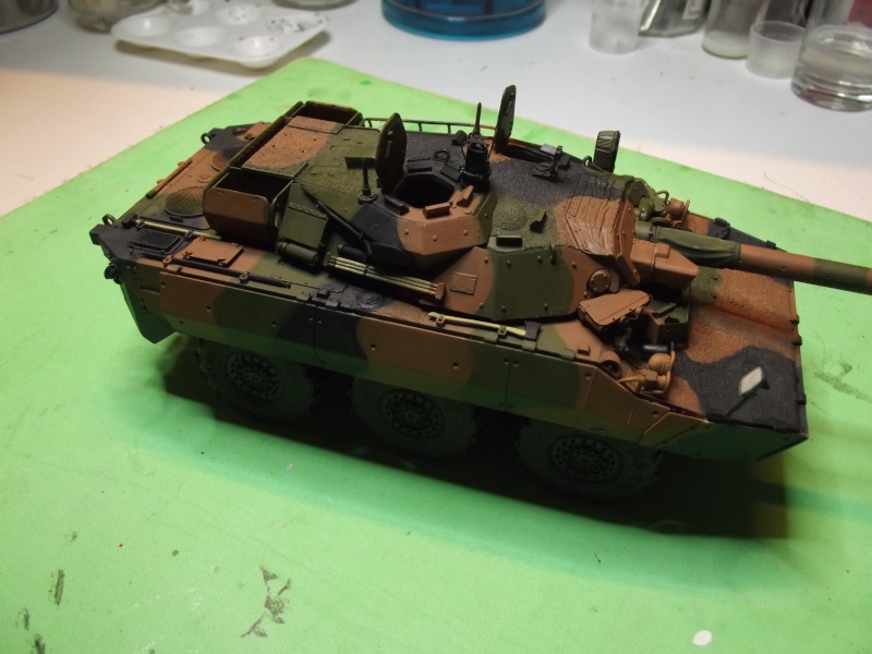 AMX10RCR (TIGRE MODEL)1.35 Dscf0723