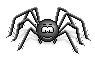 (FIL OUVERT à tous) vous aimez les araignées? Spider10