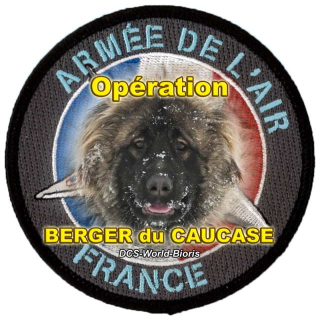 Opération BERGER du CAUCASE - Page 3 Missio10