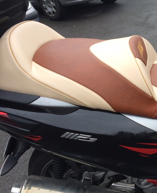 Ben c'est qui qui frappe à ma porte? - Page 4 Selle_10