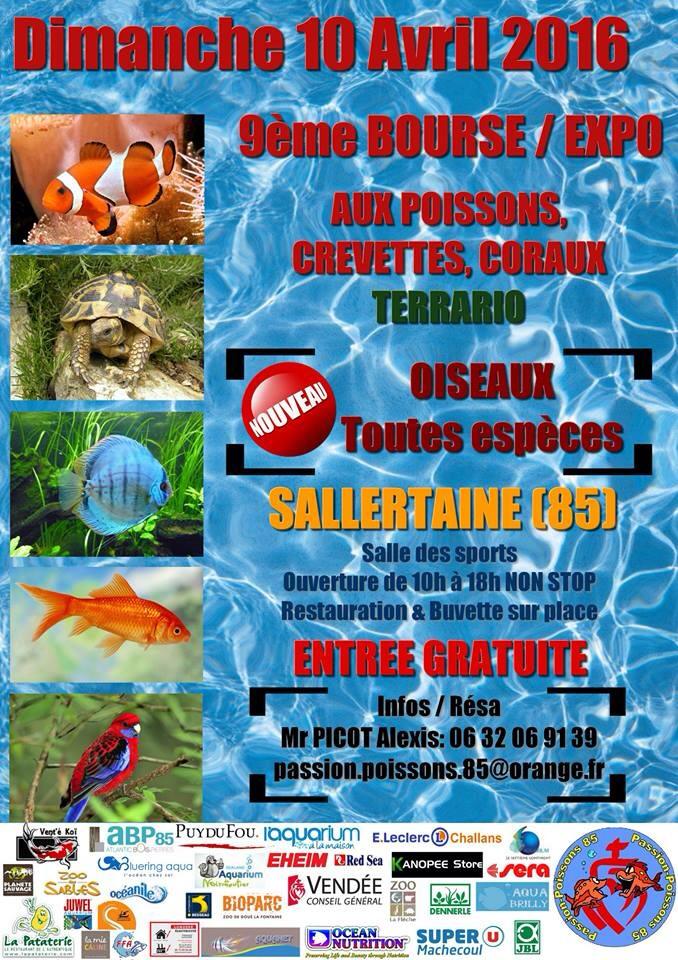 bourse de Sallertaine (85) Bourse10