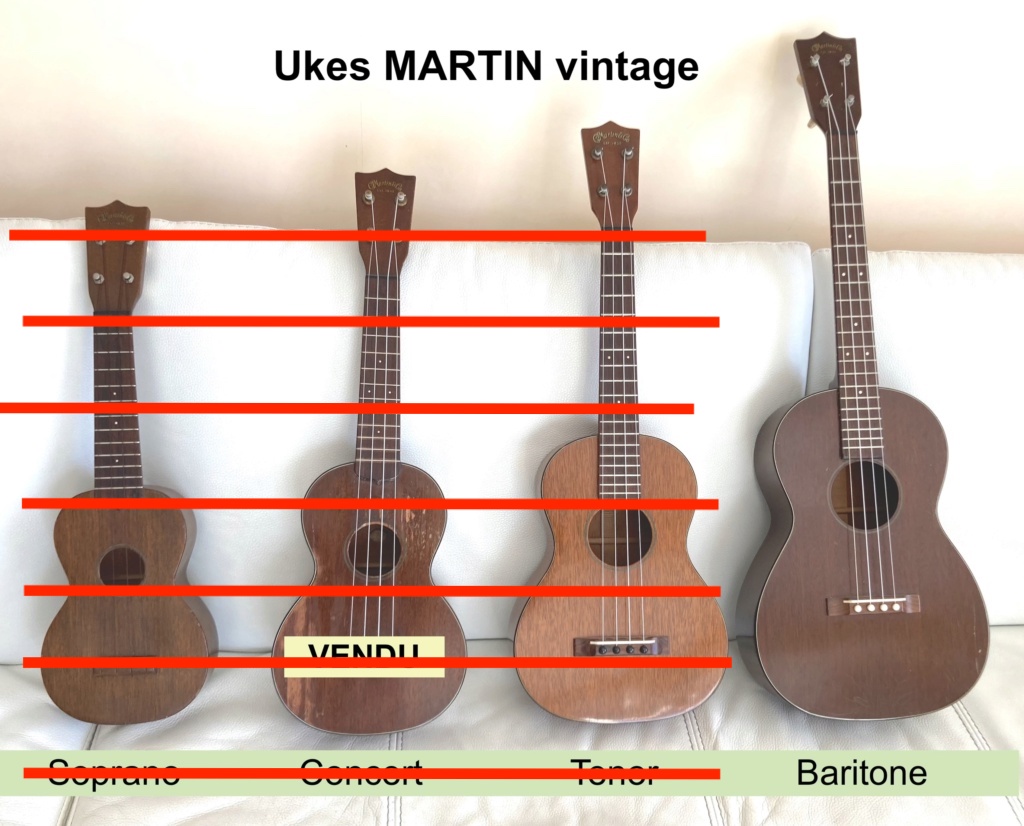 Collection de Ukes MARTIN vintage Ukes_m13