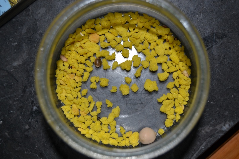 problème de graines "traitées" dans mélange VERSELE LAGA Morcea10