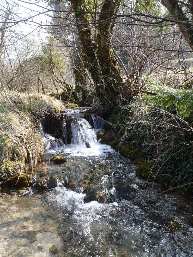 Petite rigole des près P3210019