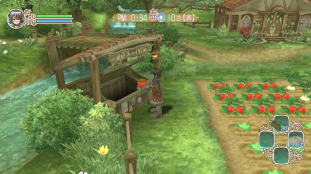 Review: Rune Factory Frontier (Wii Retail) 885x11