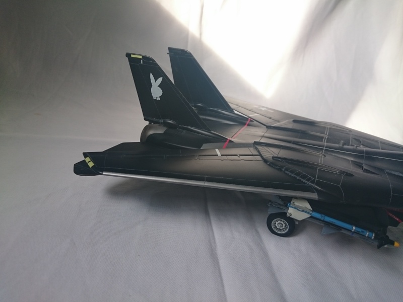 F14A Black Tomcat [Revell 1/48] Dsc_0165