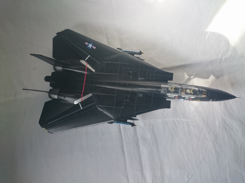 F14A Black Tomcat [Revell 1/48] Dsc_0168