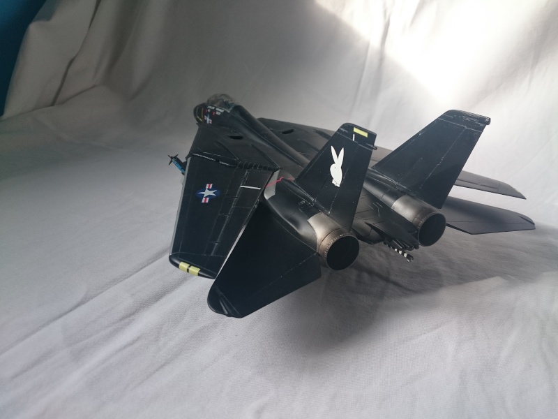 F14A Black Tomcat [Revell 1/48] Dsc_0173