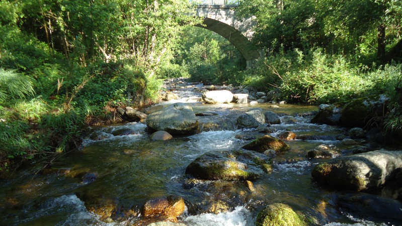 Coup de pouce à un très petit ruisseau. - Page 6 Dsc05710