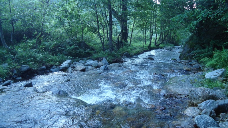 Coup de pouce à un très petit ruisseau. - Page 6 Dsc05712