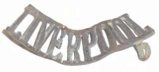 The King´s (Liverpool regiment) Liverp10