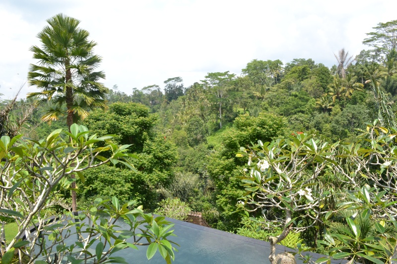 L'Indonésie! Enfin presque : Bali un paradis sur terre!  Dsc_0019