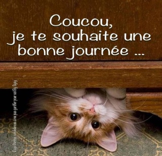 INSCRIPTION pour l' échange de paques - Page 3 Coucou12