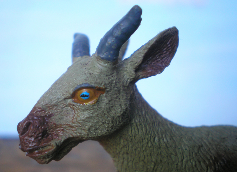 Bemalungen, Umbauten, Modellierungen - neue Tiere für meine Dioramen - Seite 8 262c1b10