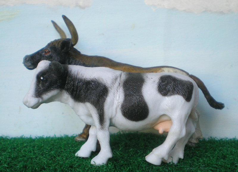 Bemalungen, Umbauten, Modellierungen - neue Tiere für meine Dioramen - Seite 8 Smyk_s12